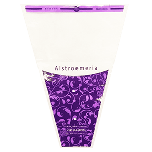 IMG-20240826-WA0000-1-300×300 IMG-20240826-WA0000-1-300x300