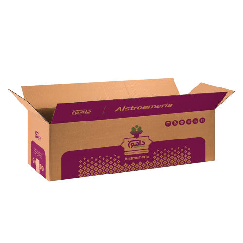 دامون دامون